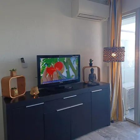 Juan Les Pins Tanit Le Gebal Climatise Vue Sur Piscine *